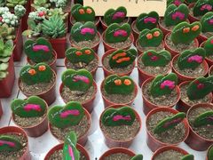 -秦美花卉(天朗·莱茵小城2期店)