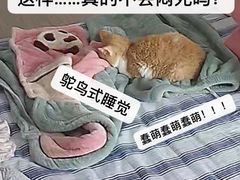 -荔康动物医院(康王北路店)