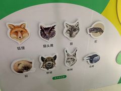 -苏州青少年科技馆