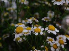 -龙美术馆(西岸馆)