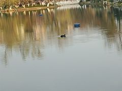 -北湖公园