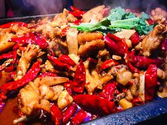 姜辣味平锅牛蛙-蛙来哒(东城万达店)