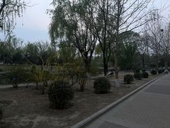-太阳宫公园
