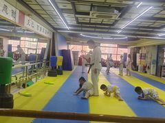 -腾寅武道跆拳道馆(方庄蒲黄榆店)