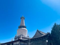 -张掖大佛寺景区