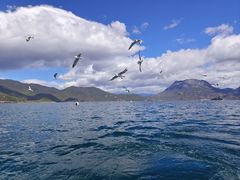 -丽江泸沽湖景区
