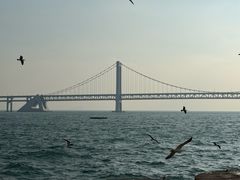 -星海广场