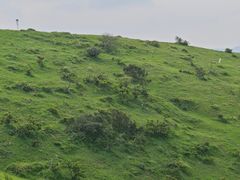 -大姆山草场