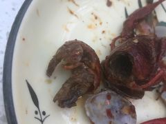 -壹家水货·小海鲜