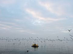 -滇池海埂公园