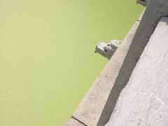 -全统永和豆浆(扬村三路店)