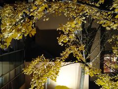 -重庆南山海昌汤都