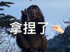 -峨眉山风景名胜区