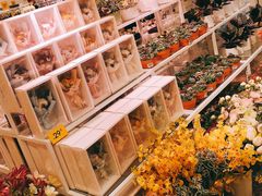 -KKV(天津津南吾悦广场店)