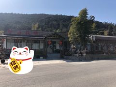 -呼吸森林·生态农庄农家乐私房菜