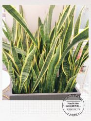 -FUTURE HN男士发型风格设计