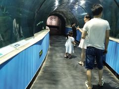 -苏州海洋馆