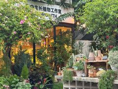 -自由生长植物工作室(深港花卉中心店)