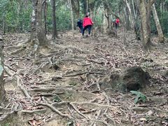 -梧桐山风景名胜区