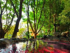 -湖泉半山温泉(湖泉生态园)