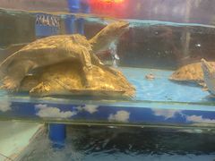 -乐在集市海鲜大排档(平潭店)