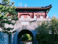 -云岗森林公园
