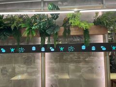 -老乡鸡(上海白玉兰广场店)
