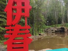 -汤旺河林海奇石景区