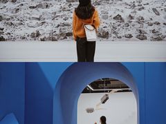 -金茂览秀城