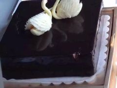 -BLACKSWAN黑天鹅(环球店)