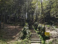 -宁波浙东大竹海景区