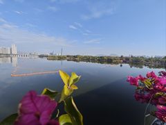 -厦门园林博览苑
