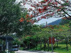 -三亚南山文化旅游区