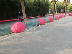 -武汉园博园(武汉自然博物馆)