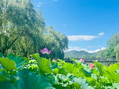 -浙江农林大学(东湖校区)