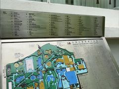 -九龙公园