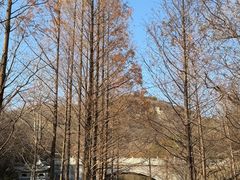 -白水寺森林公园