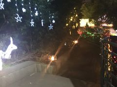 -宝莱纳啤酒花园餐厅PAULANER BRAUHAUS Nanjing(广州路店)