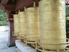 -林芝工布庄园希尔顿酒店-猎味中餐厅