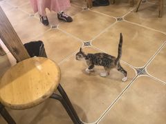 -华兴街自力面店