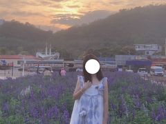 -玫瑰海岸文化旅游度假区