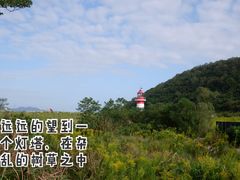 -花岙岛