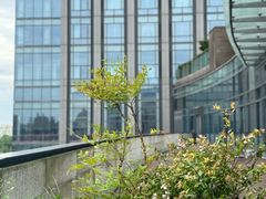 -曼乐辰餐厅(中庚漫游城店)