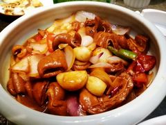 -金锅小厨(乐活街店)