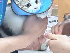 -联合动物医院(光谷诊疗中心)