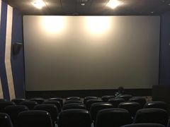 -国文影城(上海闸北店)