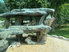 -北京野生动物园