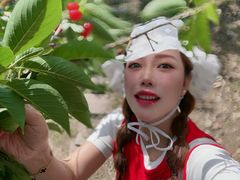 -北宅大永樱桃采摘基地(崂山总部)