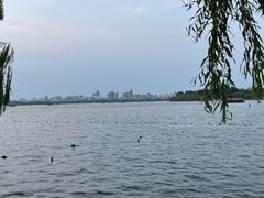 -浙江西子宾馆·瑶园咖啡厅