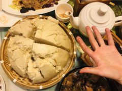 -食家鸽园